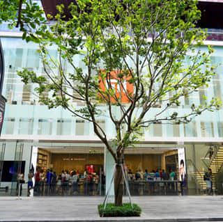 朝聖深圳小米之家
Xiaomi store in Shenzhen
