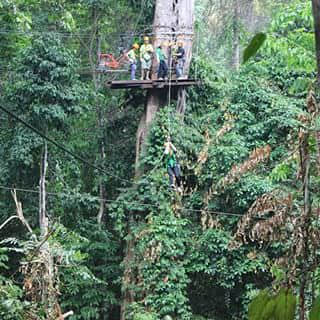 Jungle Flight @ Chiang Mai ..